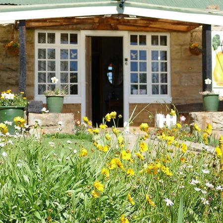 Peerboom Guesthouse Fouriesburg Buitenkant foto