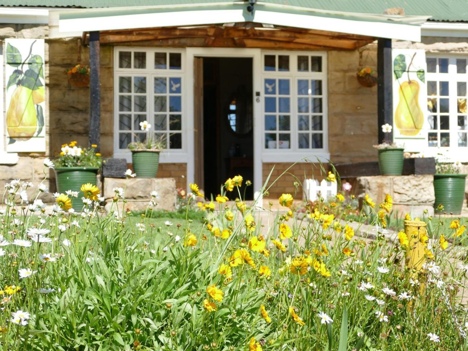 Peerboom Guesthouse Fouriesburg Buitenkant foto
